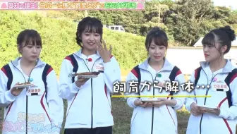 生肉 Ske48 結緣飯團一級棒 Ep52 哔哩哔哩 Bilibili