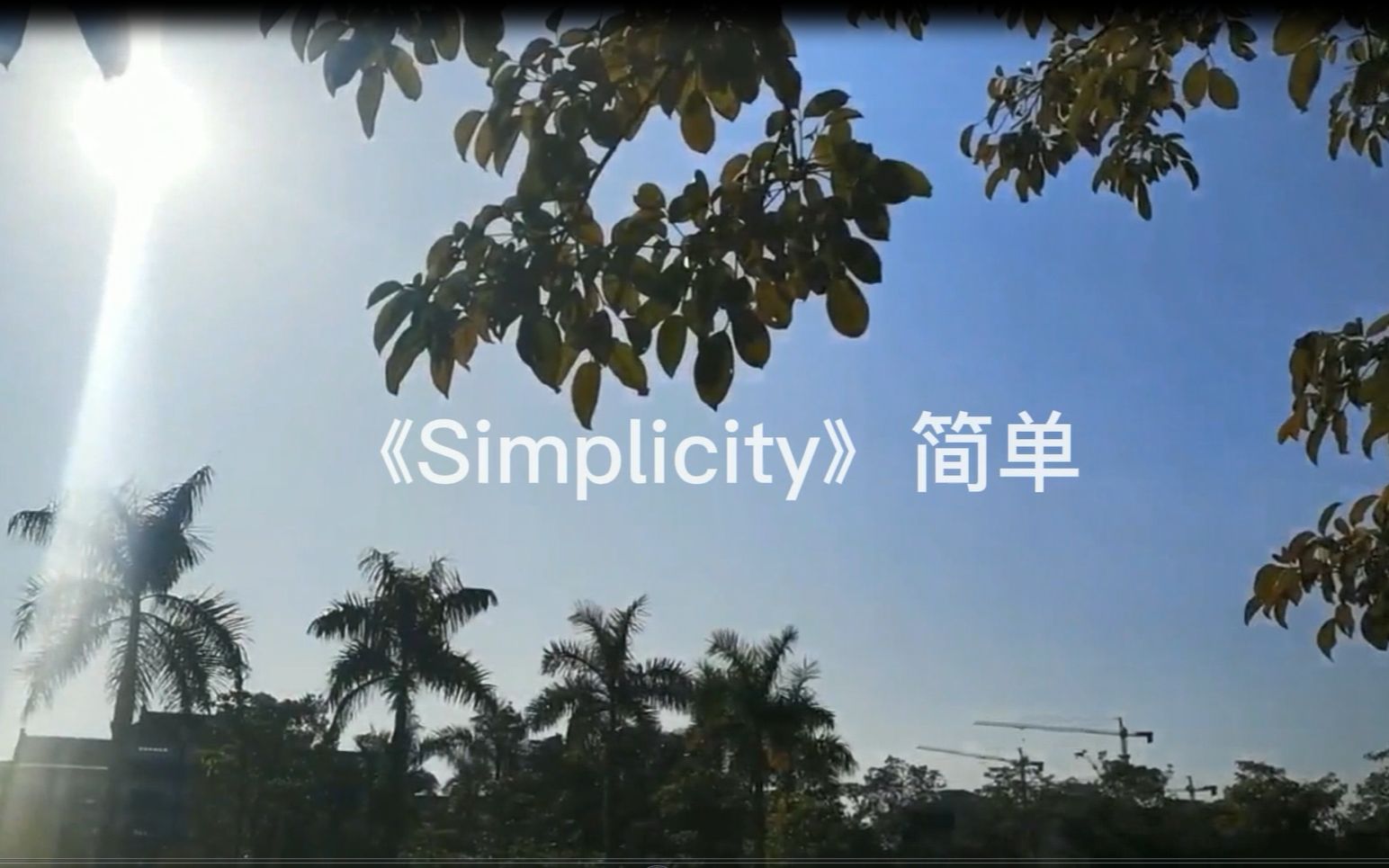 世界经典名曲~《Simplicity》简单,心静即声淡,其间无古今,从容安适,平淡为真,简单便快乐.哔哩哔哩bilibili