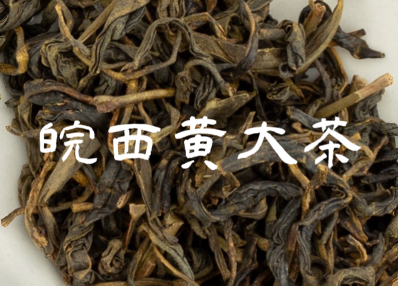 新手泡茶指南|12 黄茶ⷮŠ黄大茶篇哔哩哔哩bilibili