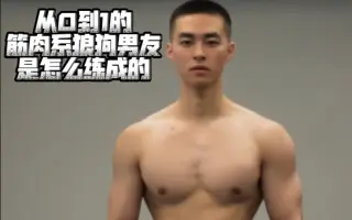 筋肉系 哔哩哔哩 Bilibili