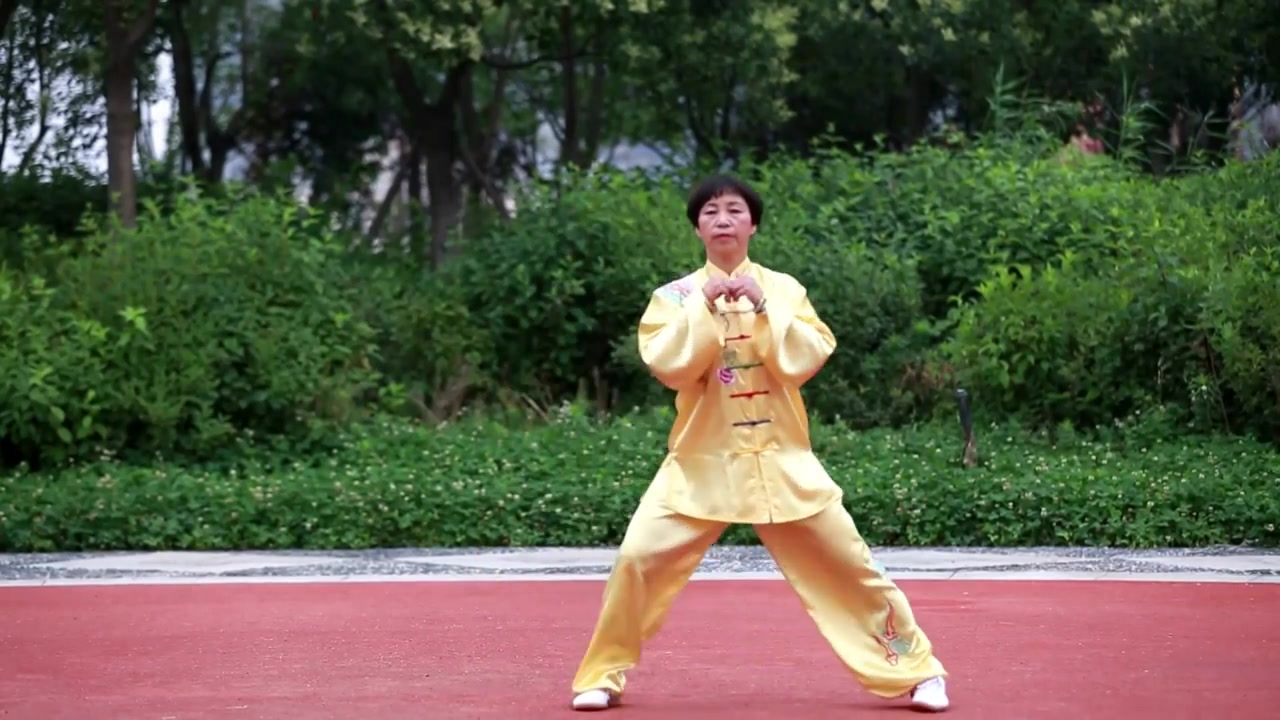 [图]养生太极掌 第一套  Yangsheng Taichi Palm I by Master Zhao