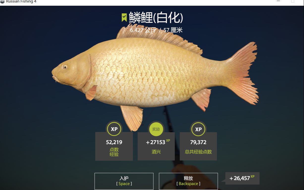 【俄罗斯钓鱼4/乔w川】鲤鱼湖搬砖的那些年的拉鱼小体验_哔哩哔哩bili