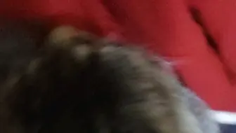 黏人的小猫咪