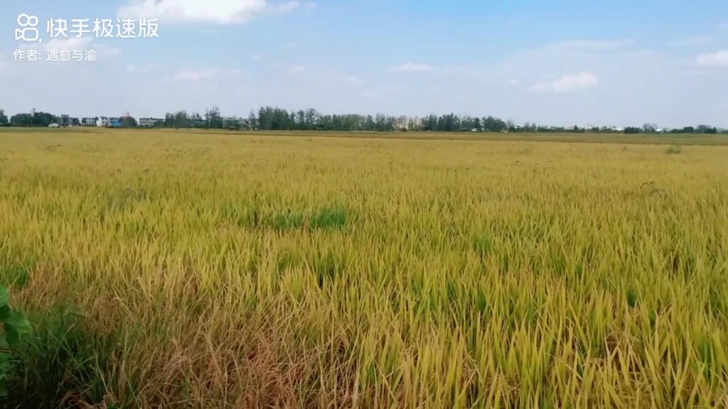 [图]平平无奇的田园风景