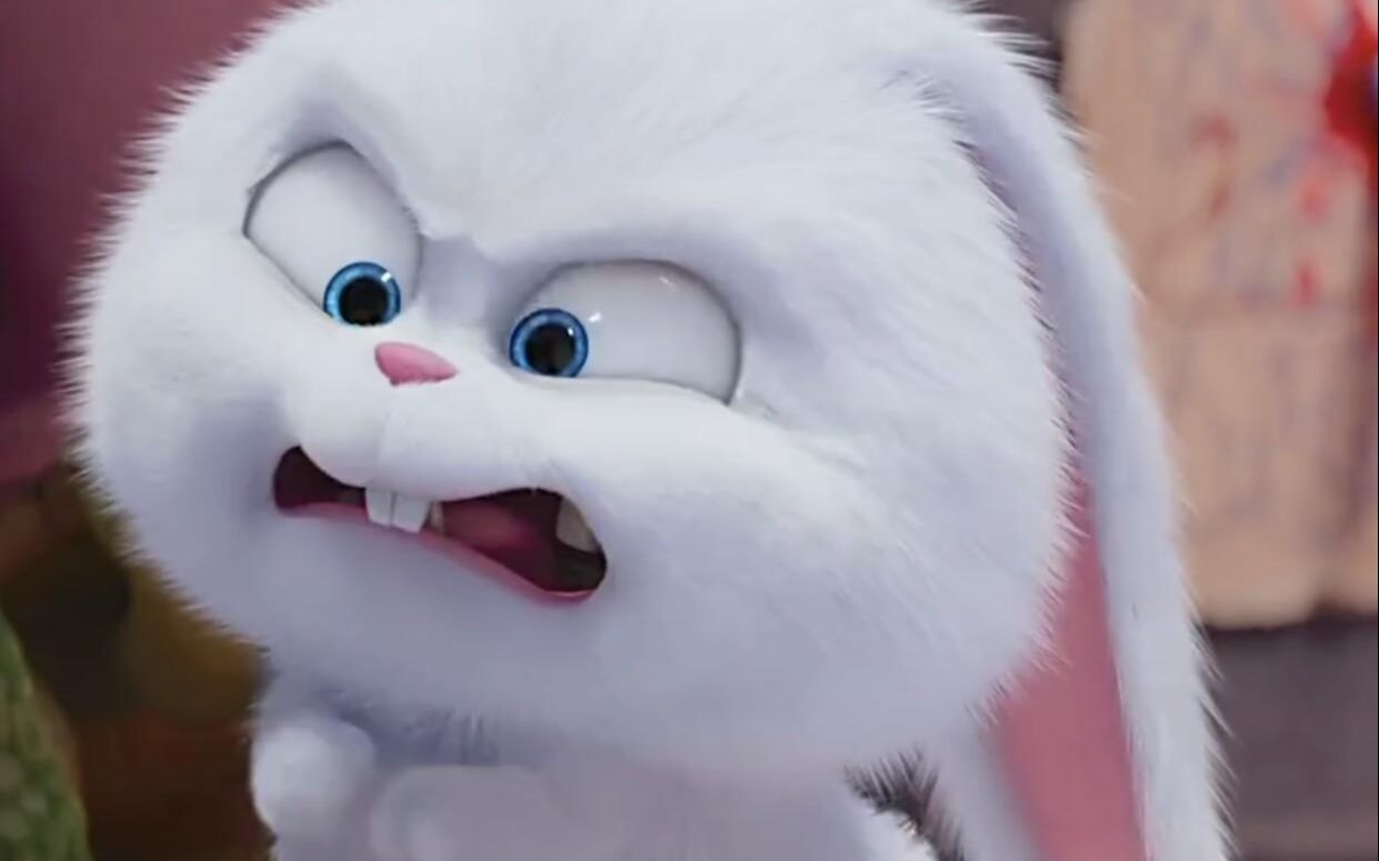 【爱宠大机密】最迷人的最危险!