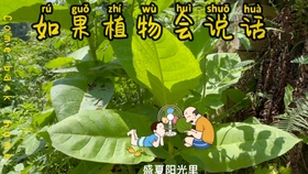 会说话 会搞笑的绿色植物和尺子 哔哩哔哩 つロ干杯 Bilibili