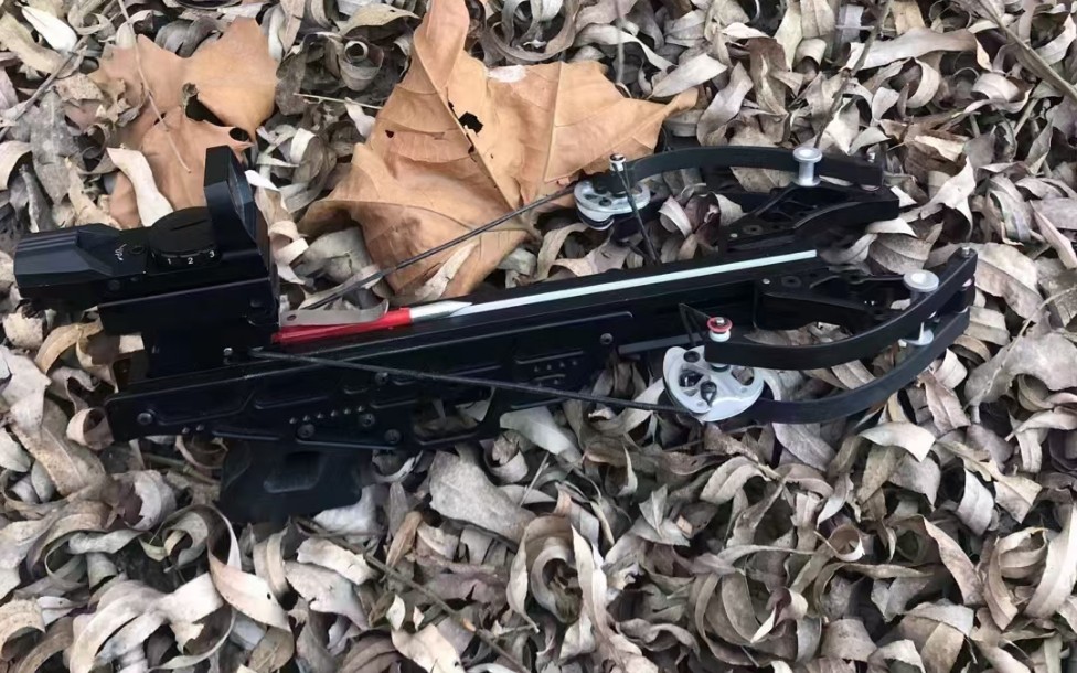 国外大神真实测评精灵小型迷你复合弓