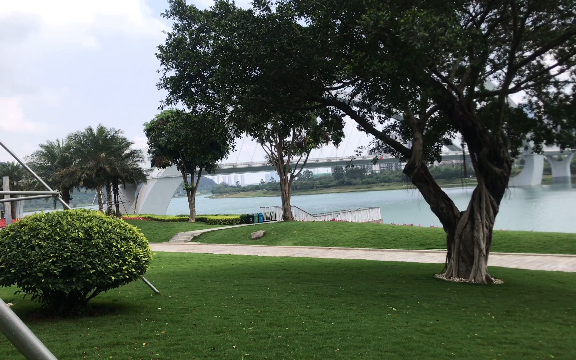 南宁最美的江边公园