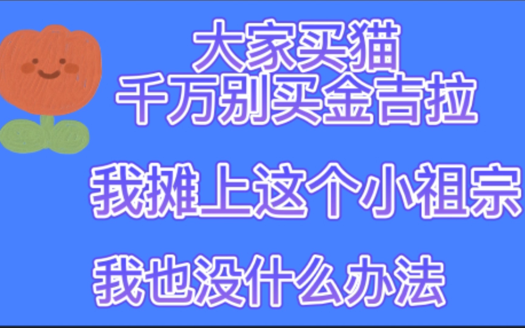 [图]【花少北】花生米这个小祖宗的性格是正常的