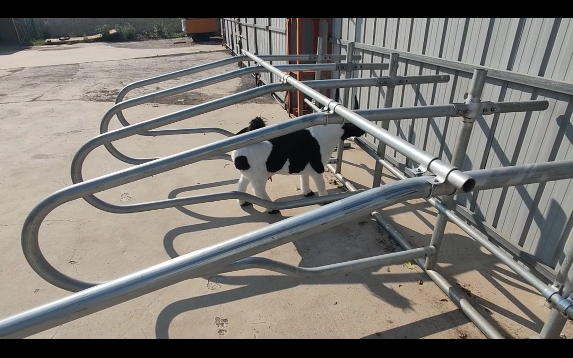 奶牛也需要好睡眠!揭秘热镀锌牛卧床的奇效