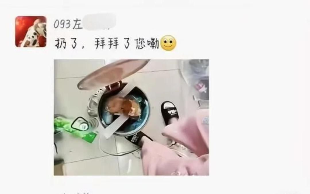 [图]高贵的河南女大学生公主嫌弃封校早餐