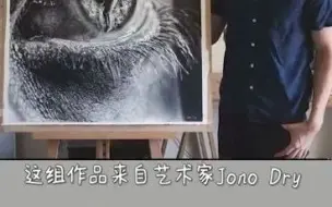 Download Video: 南非艺术家——Jono Dry