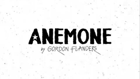 Gordon Flanders ANEMONE Official Music Video_哔哩哔哩_bilibili