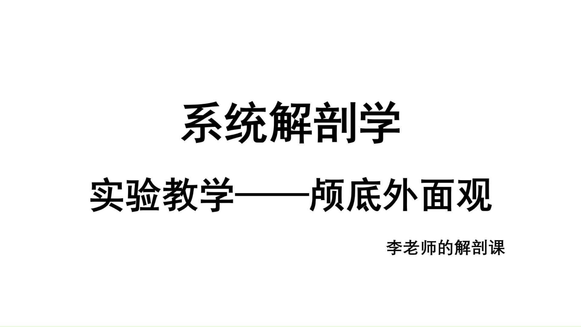 系统解剖学实验教学——颅底外面观哔哩哔哩bilibili