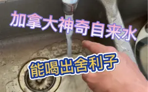 Tải video: 想死后烧出舍利子吗  来来喝点加拿大的自来水