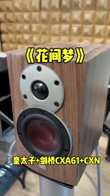 丹麦达尼皇太子英国剑桥cxa61功放和cxn数播