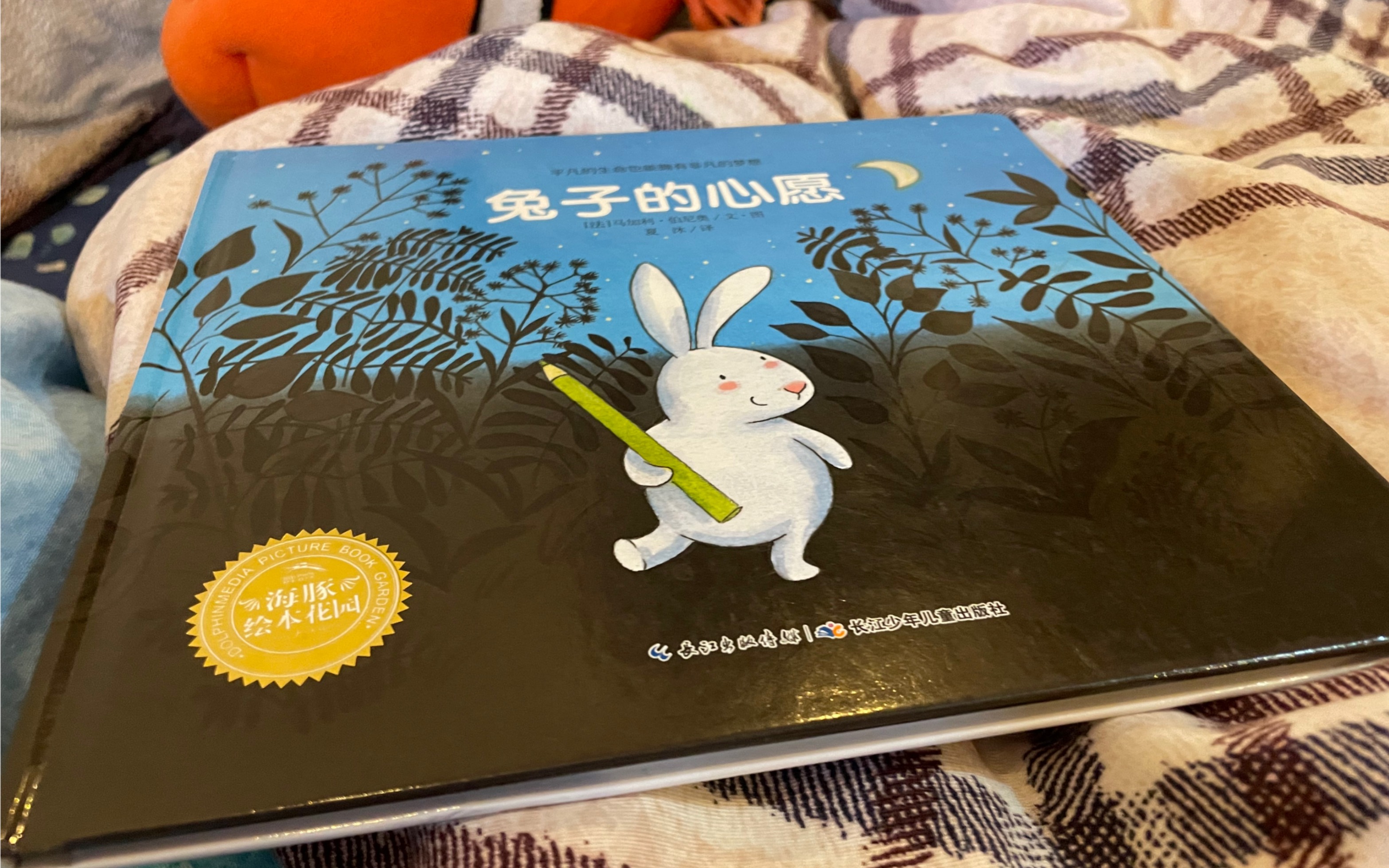 《兔子的心愿》绘本故事