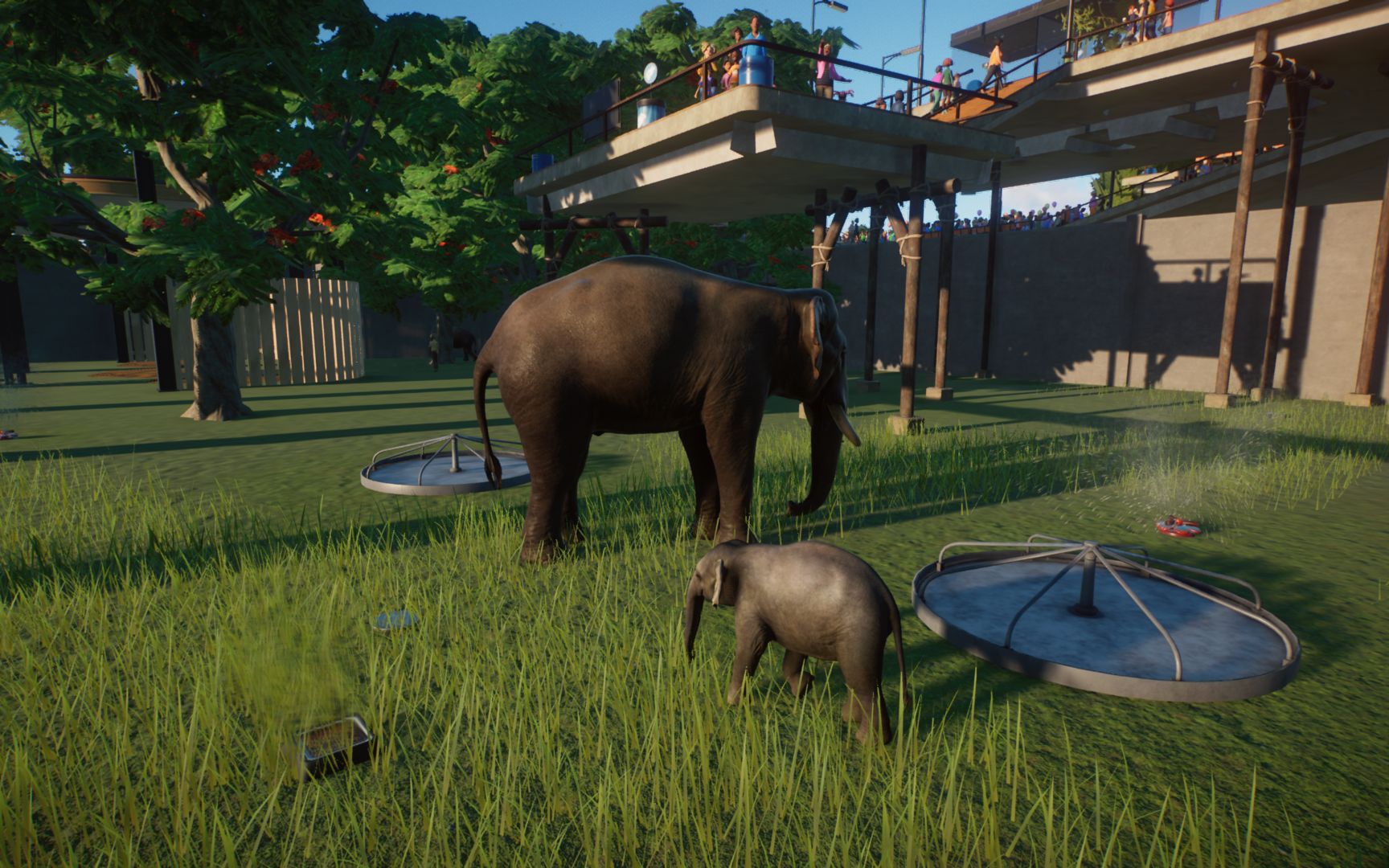 活动作品动物园之星游客都长着透视眼