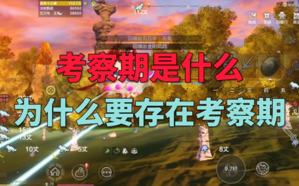 妄想山海考察期要多久 妄想山海千年居暨值得培养吗