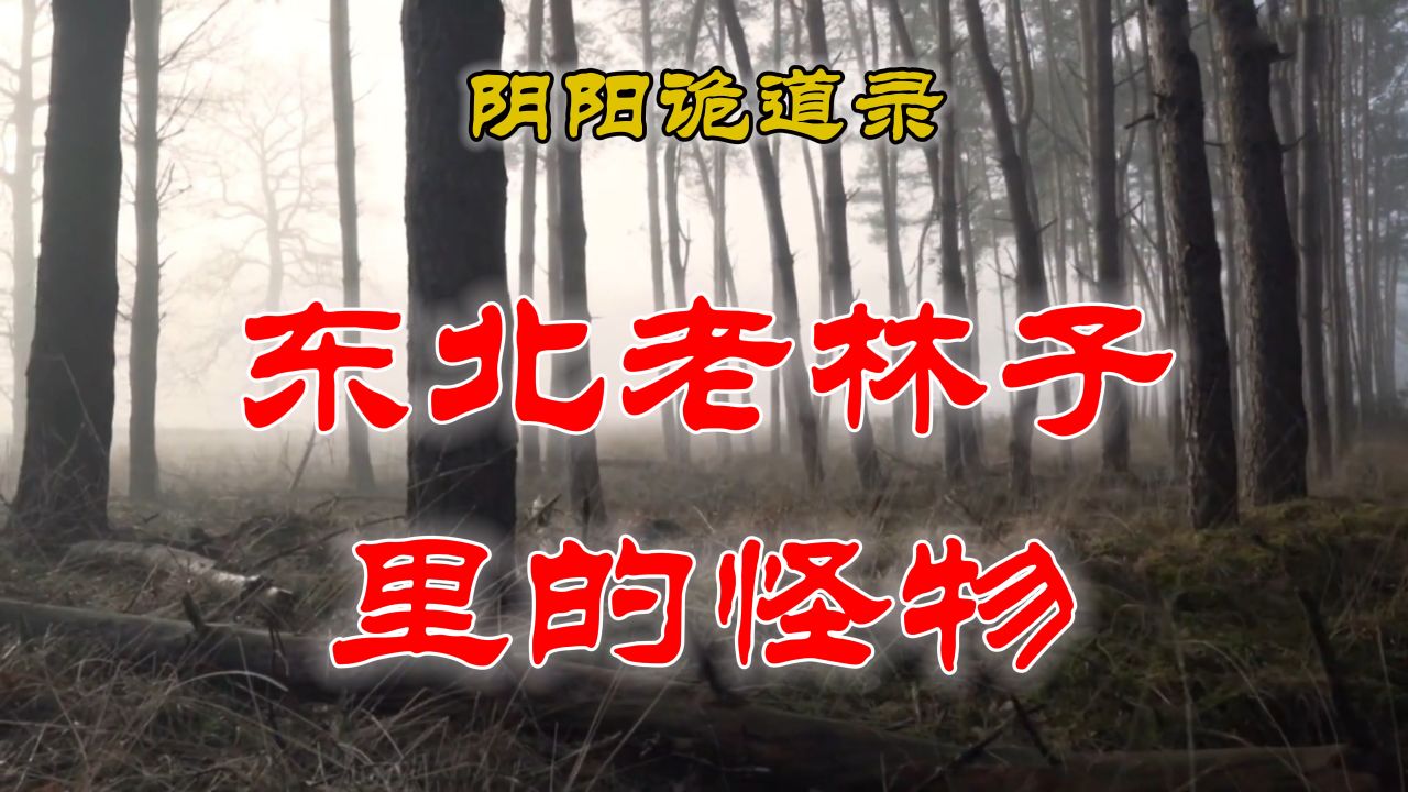 【山村鬼谈】民间灵异故事,东北老林子里的怪物 丨民间故事丨恐怖故事丨鬼怪故事哔哩哔哩bilibili