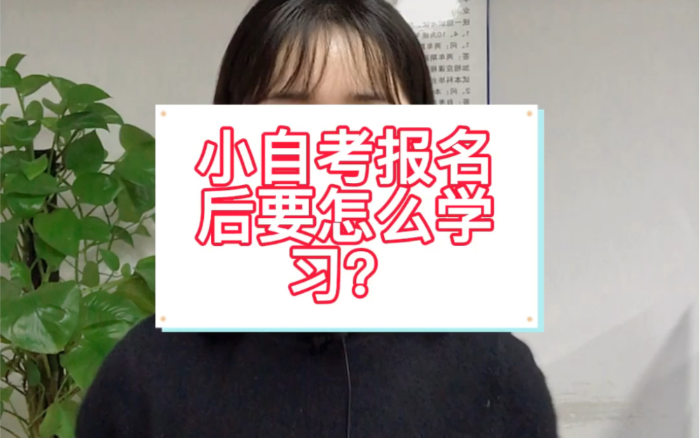 成人学历提升、自考本科哔哩哔哩bilibili