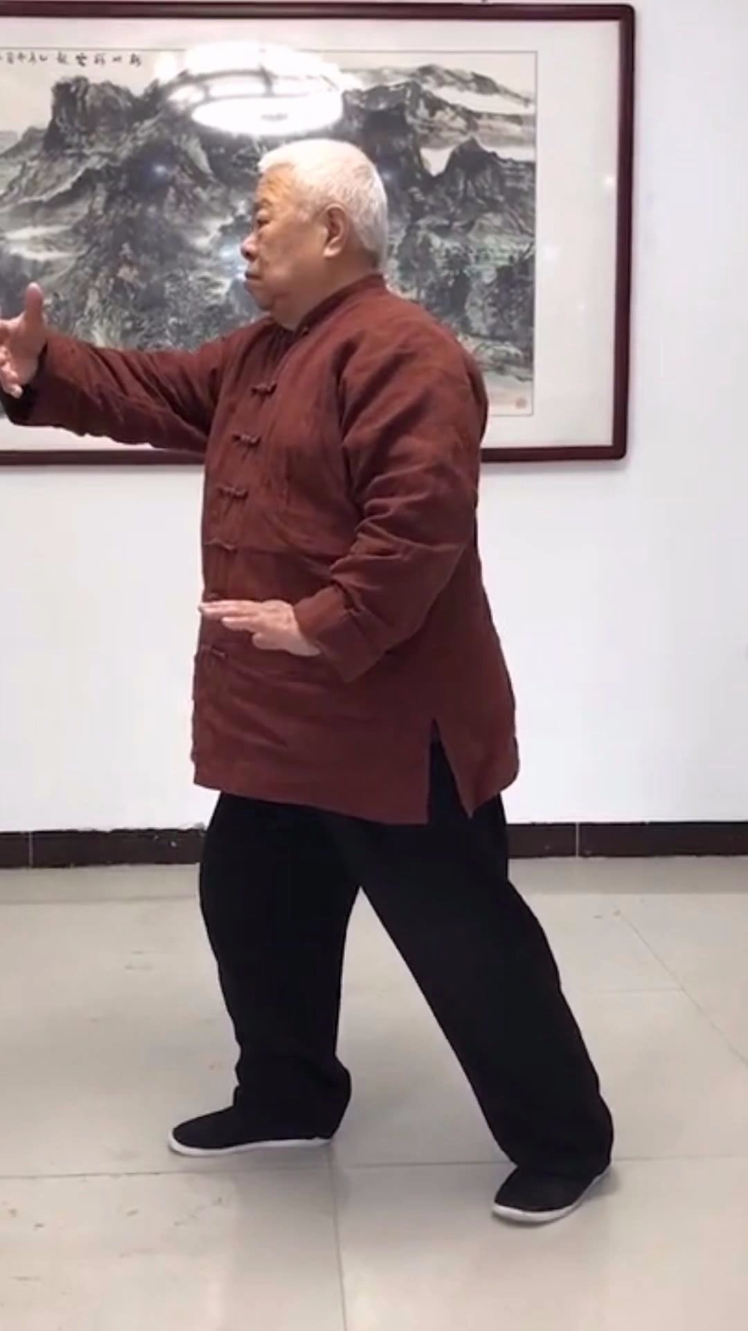 武式太极拳名家翟维传先生演示八法五步单式