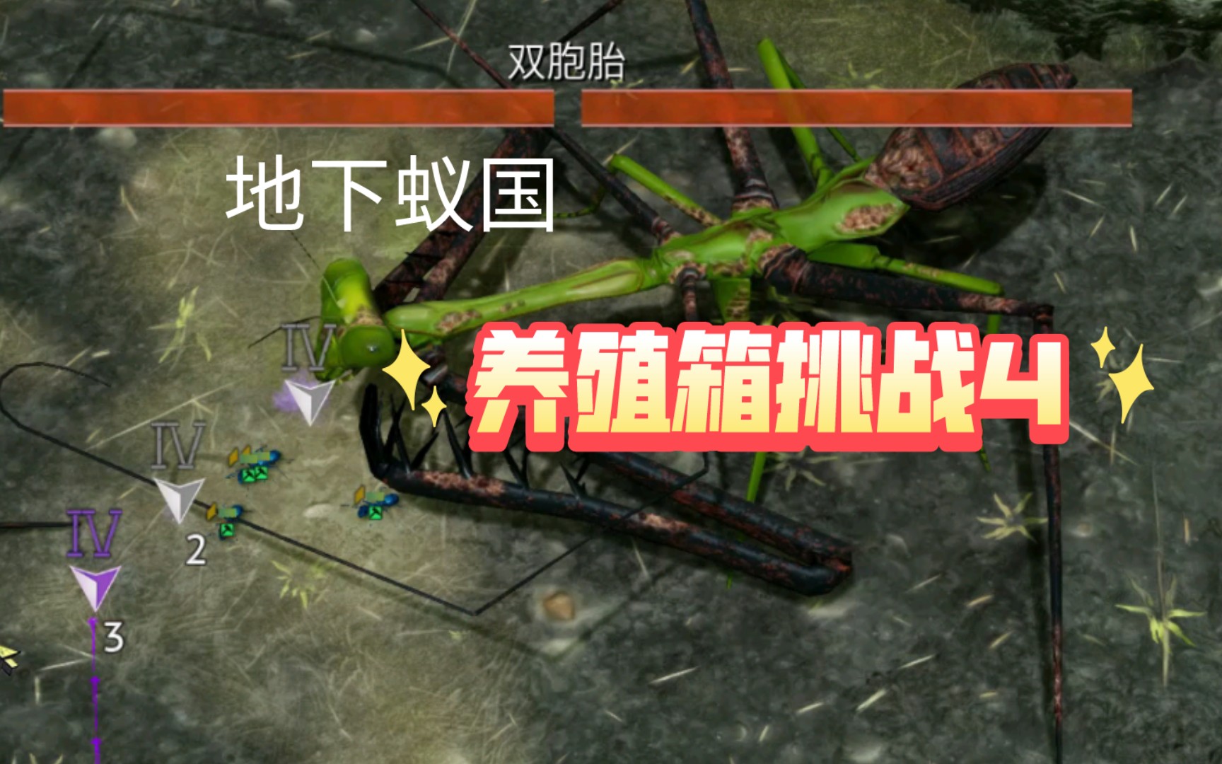 地下蚁国 养殖箱挑战4