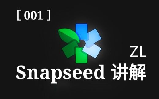 [手机后期教程]Snapseed 软件详细介绍和使用步骤哔哩哔哩bilibili