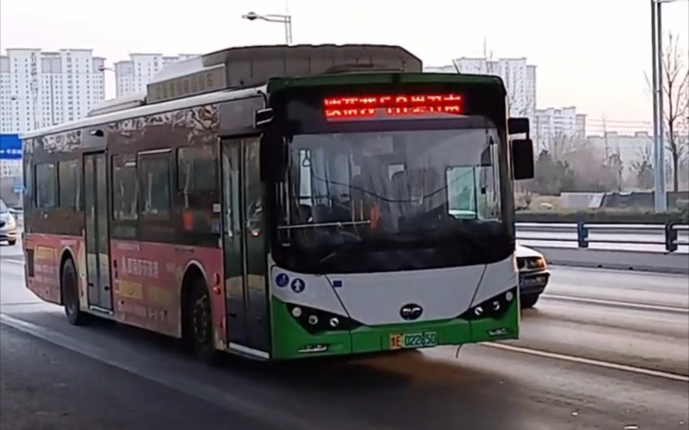 15分钟游安阳:【pov】安阳公交50路第一视角展望(欧蓓莎→崇召南)