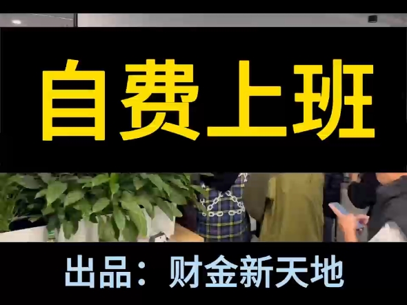 2024年最后一个月,又一个极具创意的新词诞生了,就地解散,自费上班.#就地解散#自费上班#极越汽车##自费打工#原创视频哔哩哔哩bilibili