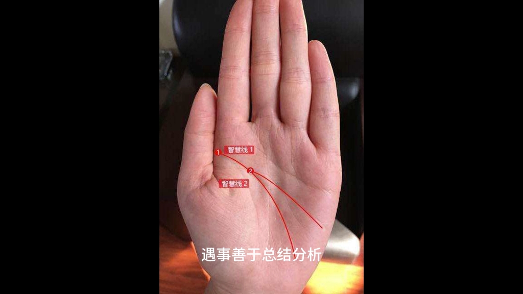 (手相解读)教你最快认识自己的手相