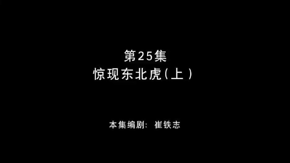 [图]童年回忆之熊出没，秋日对对碰第25集，惊现东北虎（上）