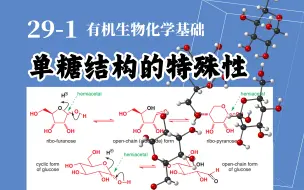 Download Video: 基础有机化学 L29-1 单糖结构的特殊性