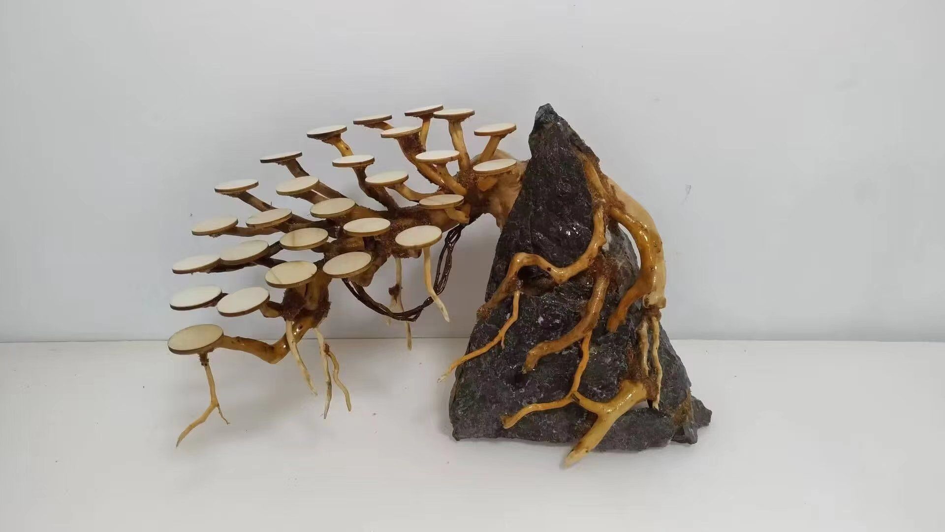 4种莫斯树制作分解制作教程