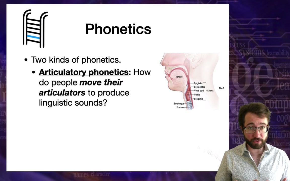 Introduction to Linguistics Phonetics 1 语言学引论 语音学1哔哩哔哩bilibili