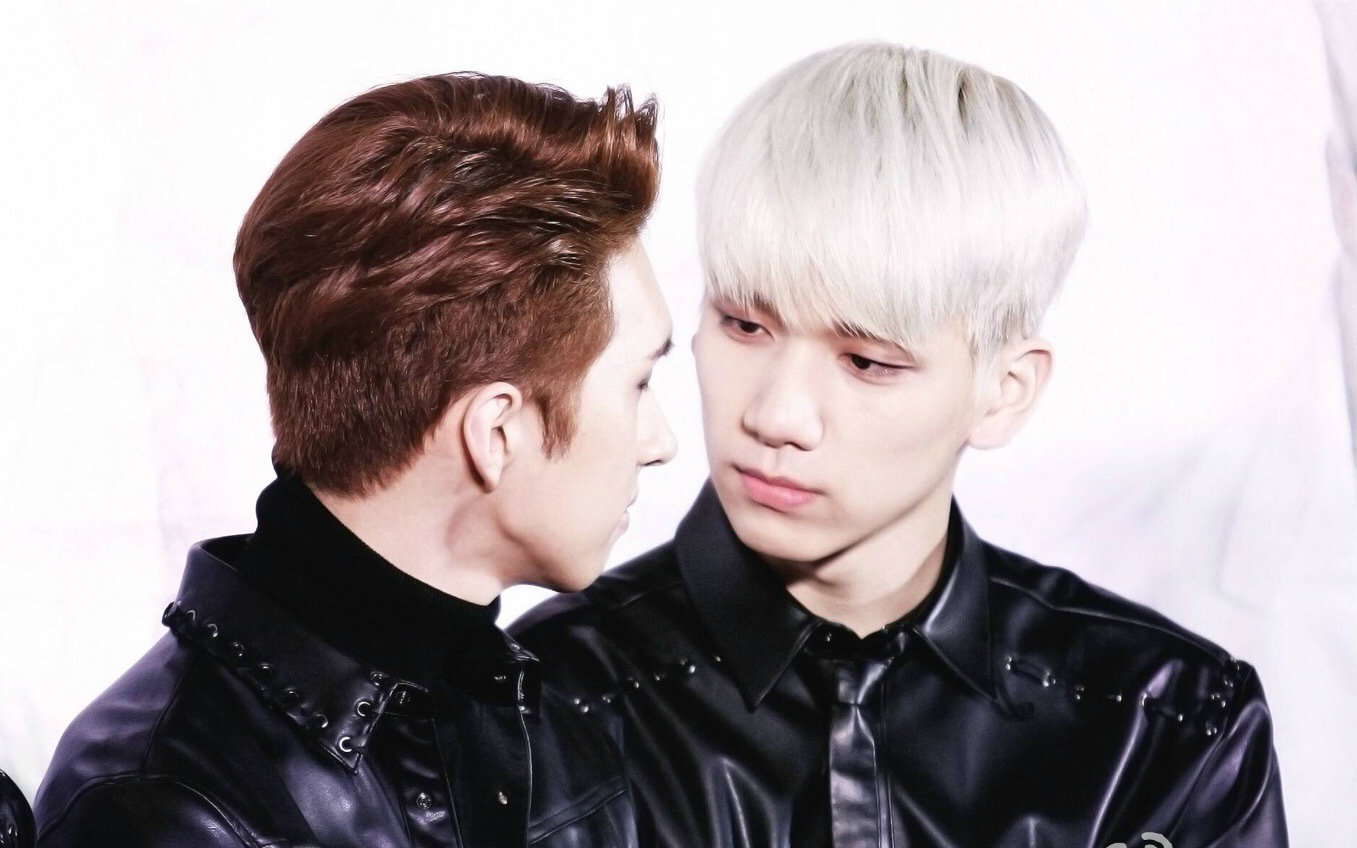 vixx韩相爀李在焕flowerdance