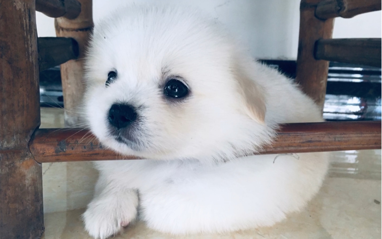 我的哈特很可爱!_哔哩哔哩_bilibili