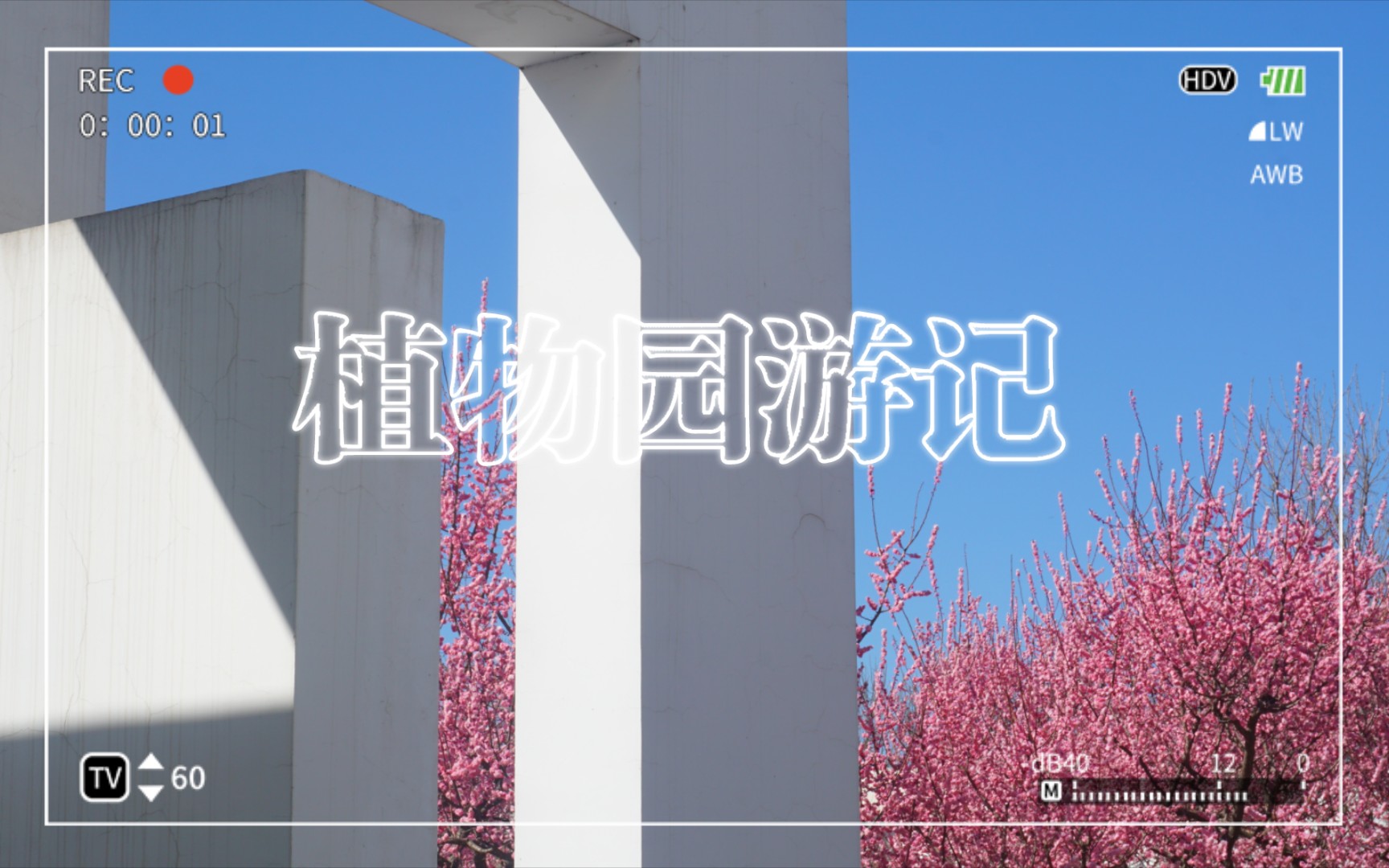 周末去石家庄植物园,逛出一天好心情!相机直出哔哩哔哩bilibili