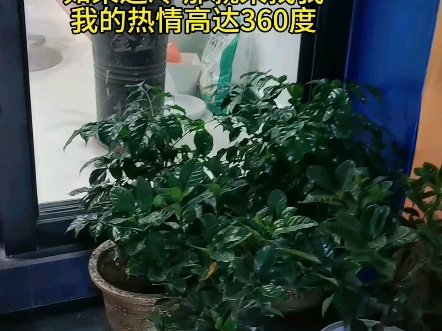 降温了如果怕冷就去墙角那里有90度还冷可以去上网那里有百度如果还冷 那就来找我我的热情高达360度哔哩哔哩bilibili