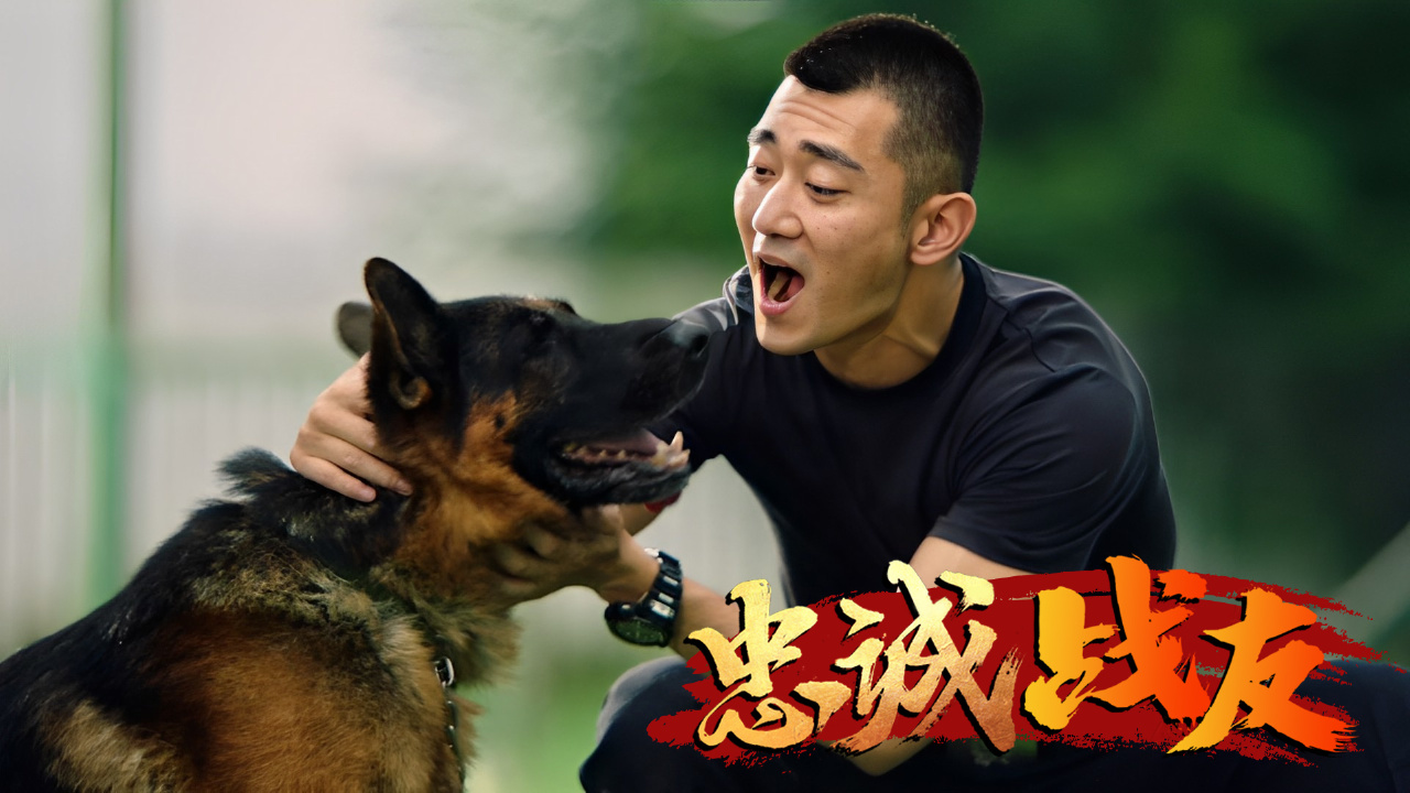 警犬是最忠诚的战友,它勇于面对危险,守护一切