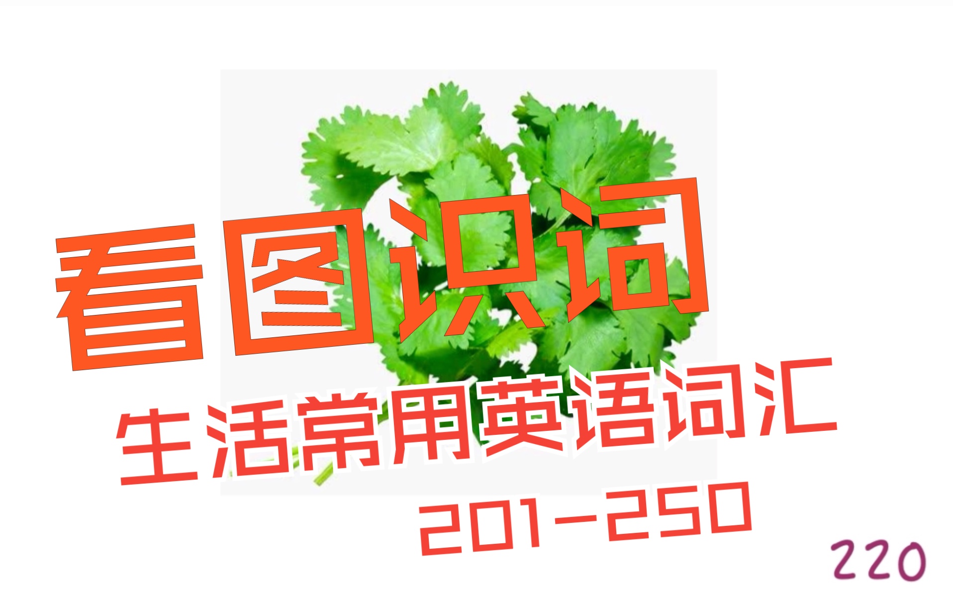 看图识词生活常用英语词汇201250哔哩哔哩bilibili