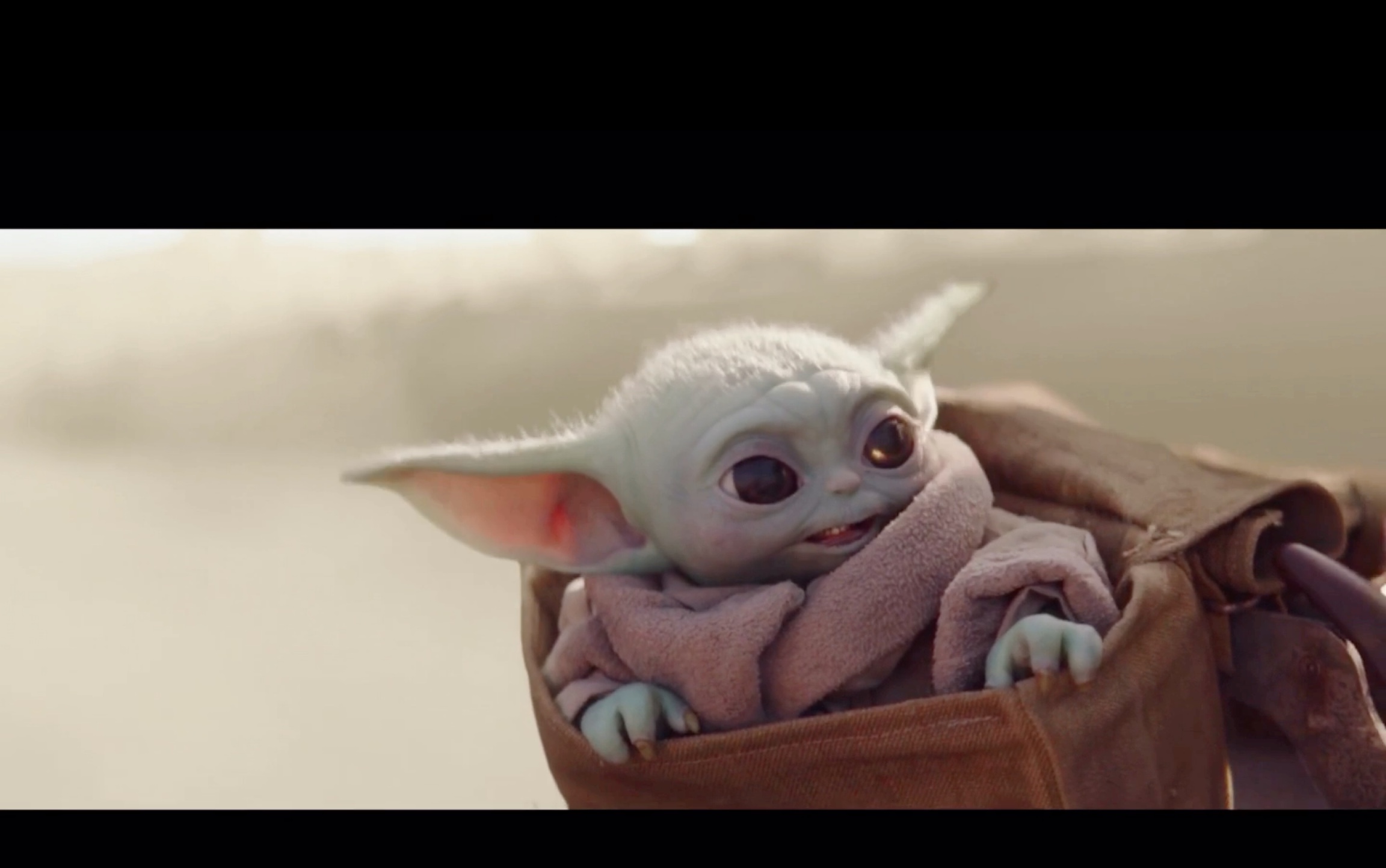 大耳朵尤达宝宝:我耳朵够一盘菜不?