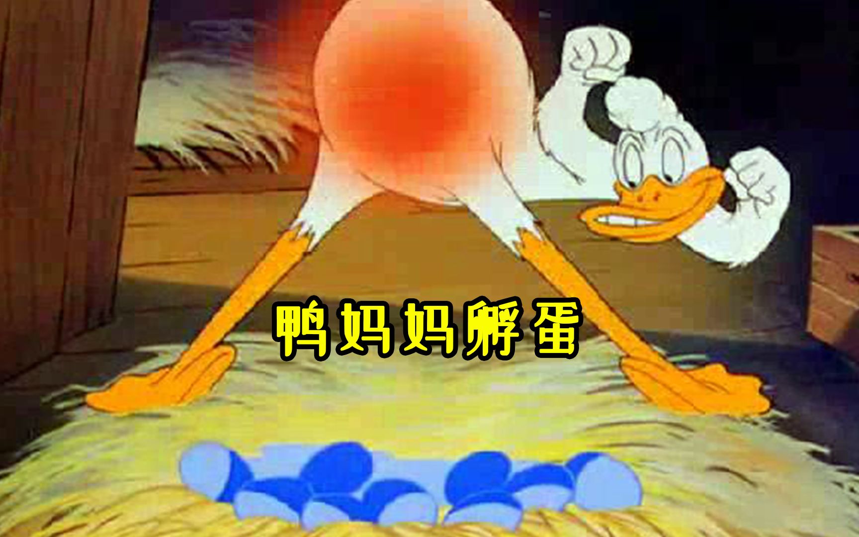 鸭妈妈孵蛋,因太冷到油灯旁取暖烤屁股,却差点将鸭蛋宝宝生煎了