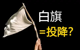 白旗 搜索结果 哔哩哔哩 Bilibili