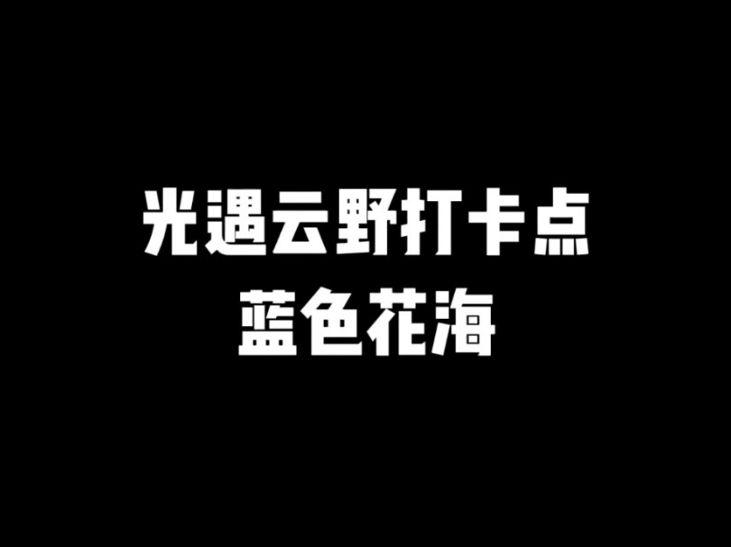 光遇云野打卡点蓝色花海网络游戏热门视频