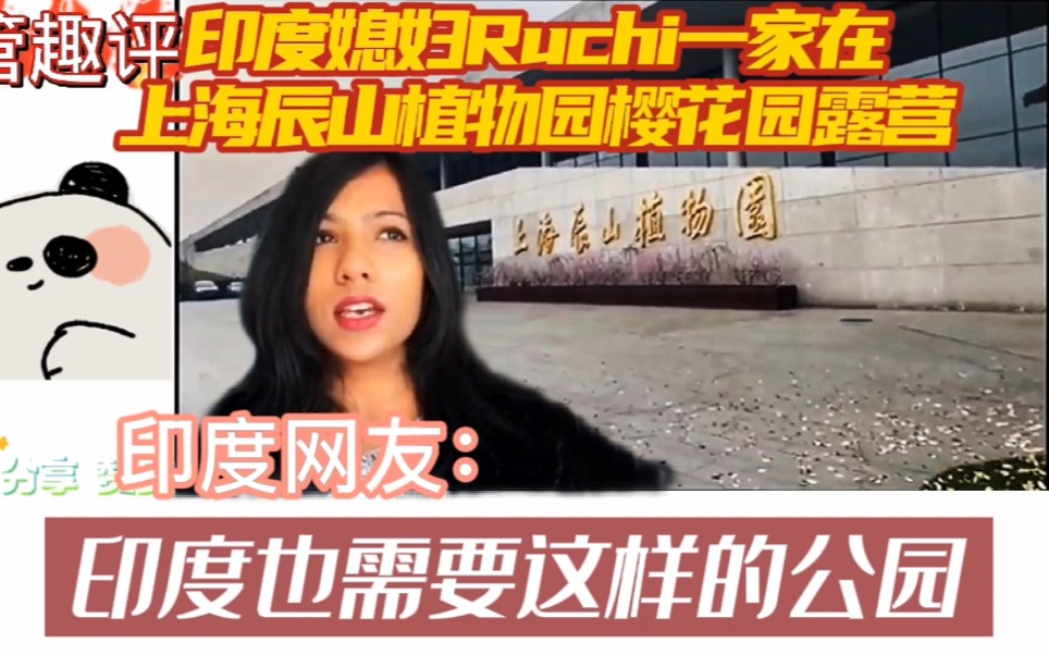 印度媳妇ruchi一家在上海辰山植物园樱花园露营 印度网友嫉妒了!