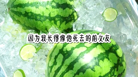 《星如落依》哔哩哔哩bilibili