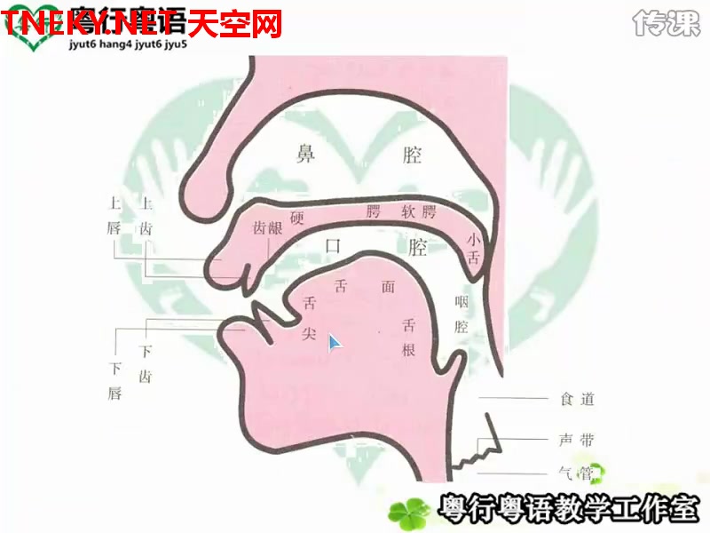 [图]粤语教程：03粤语音标录播课程（粤语拼音）13节课