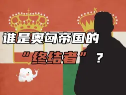 Download Video: 加利西亚战役：俄奥200万士兵大混战，奥匈一役葬送40万军队【一战史07】