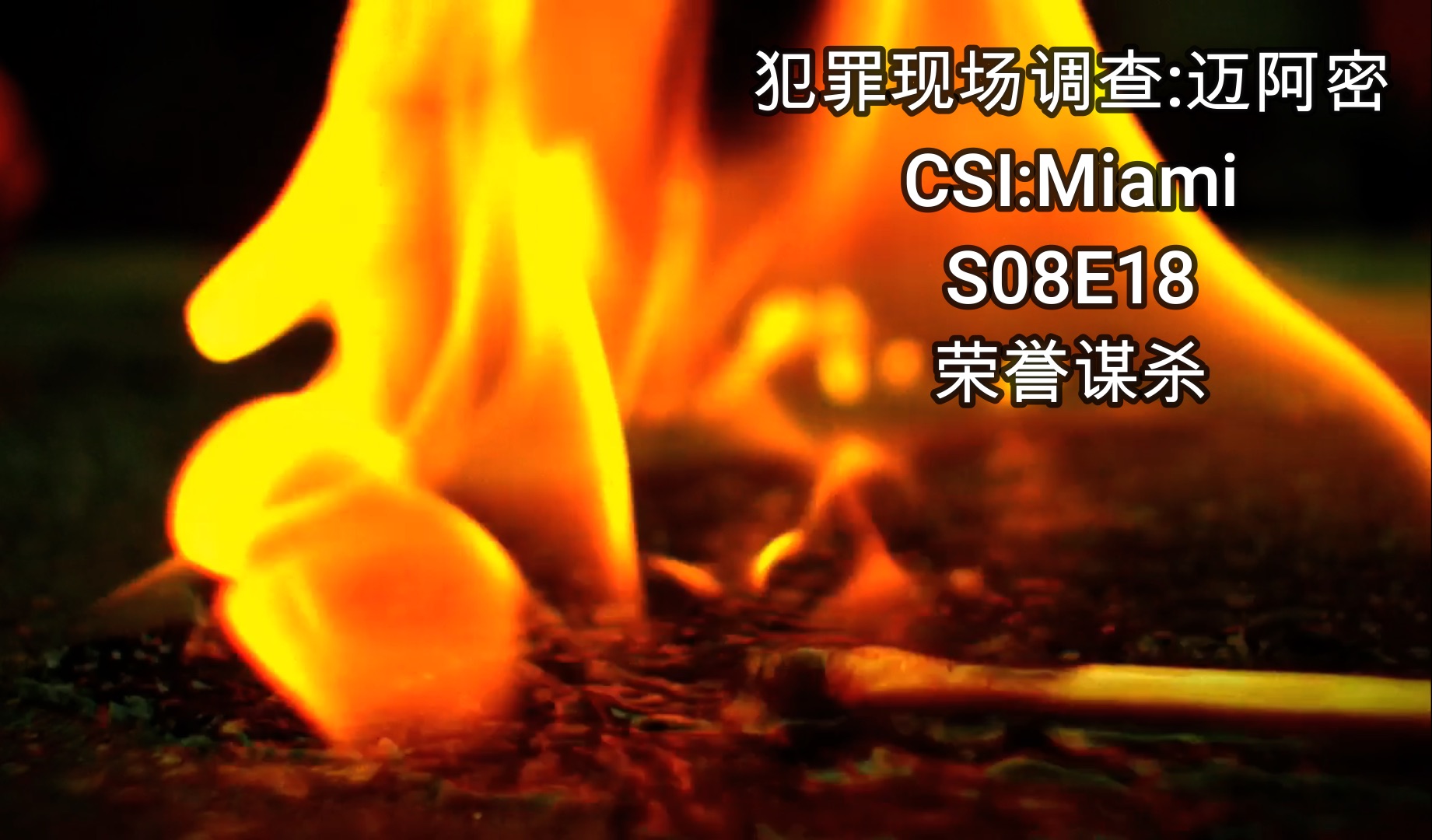 [图]【犯罪现场调查:迈阿密】CSI:Miami S08E18 荣誉谋杀 包办婚姻抵不过真爱,小情侣惊慌私奔； 遭退婚自觉脸面受损,亲父杀女反被烧.